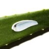 Cosrx-Aloe-Soothing-Sun-Cream-SPF50-PA8
