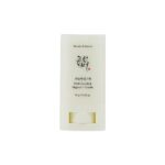 Beauty of Joseon Matte Sun Stick MugwortCamelia SPF 50 PA 1.jpg