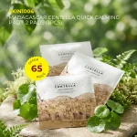 Calming pad skin1004